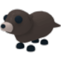 Otter - Common from Retired Egg